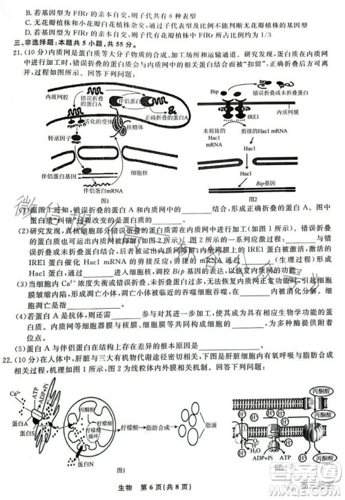 辽宁省名校联盟2023年高三9月份联合考试生物试卷答案 辽宁省名校联盟2023年高三9月份联合考试生物试卷答案