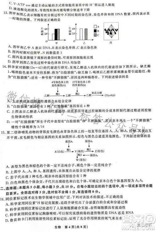 辽宁省名校联盟2023年高三9月份联合考试生物试卷答案