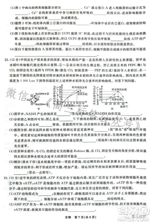 辽宁省名校联盟2023年高三9月份联合考试生物试卷答案