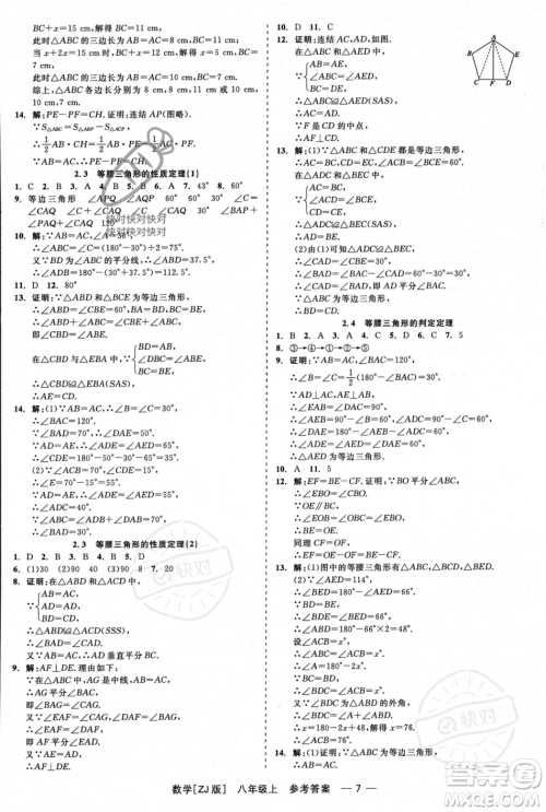 浙江工商大学出版社2023年秋精彩练习就练这一本八年级数学上册浙教版答案