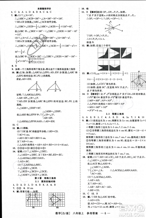 浙江工商大学出版社2023年秋精彩练习就练这一本八年级数学上册浙教版答案