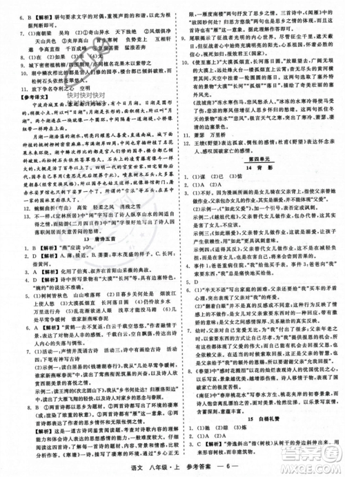 浙江工商大学出版社2023年秋精彩练习就练这一本八年级语文上册通用版答案