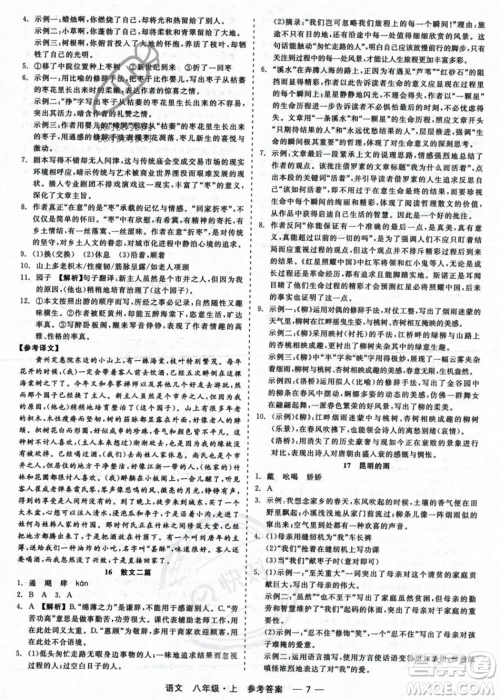 浙江工商大学出版社2023年秋精彩练习就练这一本八年级语文上册通用版答案
