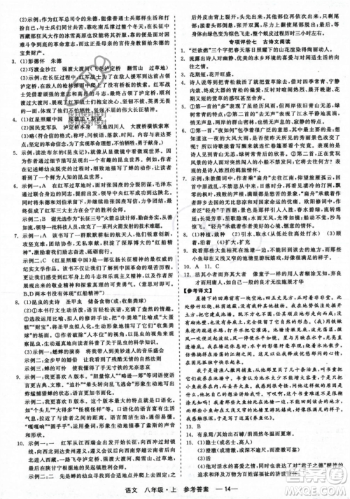 浙江工商大学出版社2023年秋精彩练习就练这一本八年级语文上册通用版答案