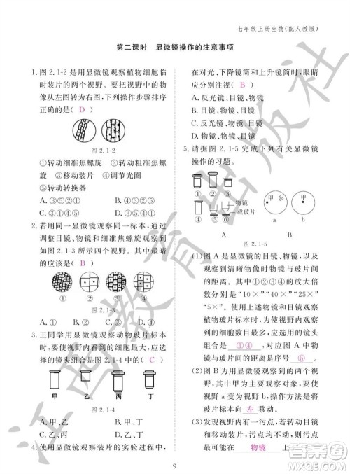 江西教育出版社2023年秋生物作业本七年级上册人教版参考答案