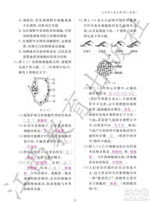 江西教育出版社2023年秋生物作业本七年级上册人教版参考答案