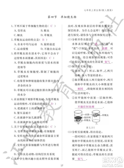 江西教育出版社2023年秋生物作业本七年级上册人教版参考答案