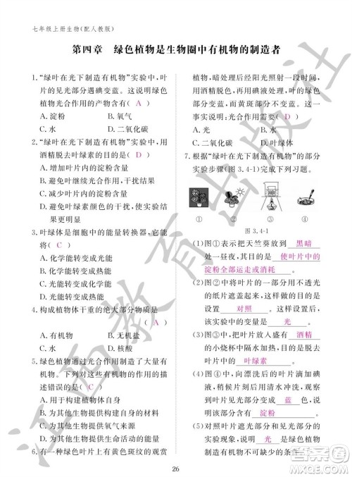 江西教育出版社2023年秋生物作业本七年级上册人教版参考答案