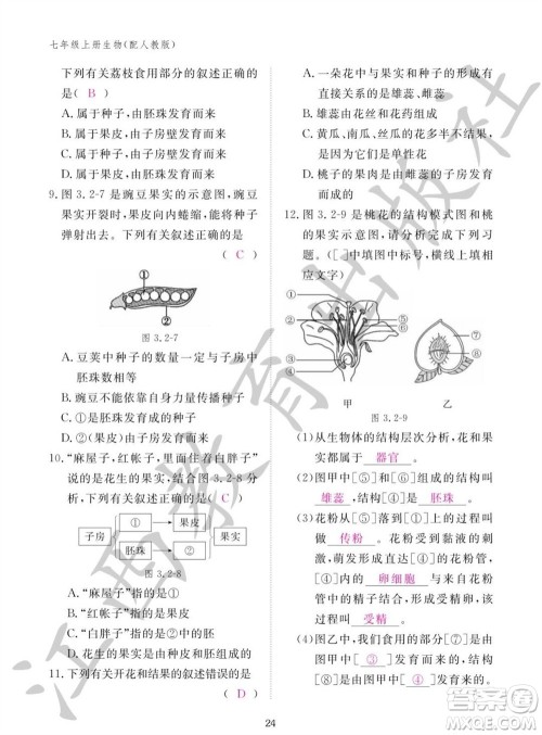 江西教育出版社2023年秋生物作业本七年级上册人教版参考答案