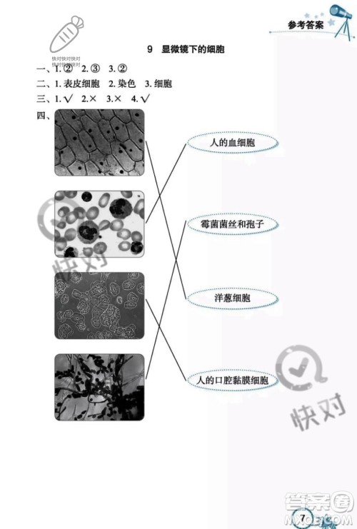 湖北教育出版社2023年秋长江作业本课堂作业五年级科学上册人教鄂教版答案