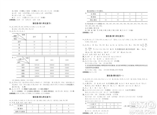 江苏凤凰教育出版社2023年秋小学数学强化拓展卷五年级上册苏教版提优版参考答案