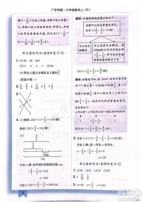 龙门书局2023年秋黄冈小状元作业本六年级数学上册人教版广东专版参考答案