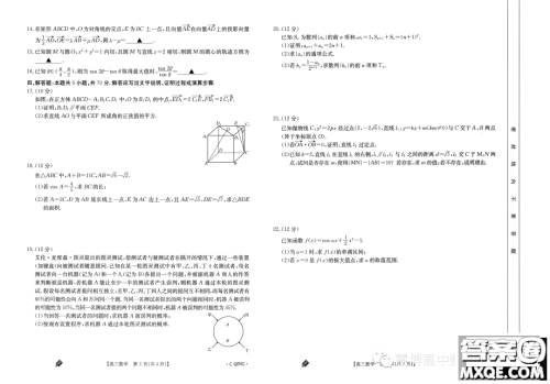 2024届重庆金太阳高三上学期9月联考数学试题答案