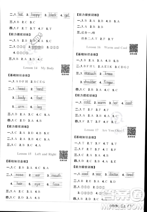 江西教育出版社2023年秋阳光同学课时优化作业三年级英语上册冀教版答案