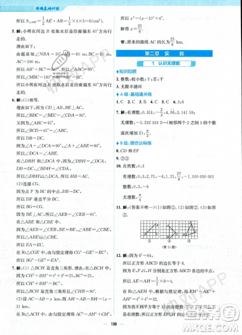 安徽教育出版社2023年秋新编基础训练八年级数学上册北师大版答案