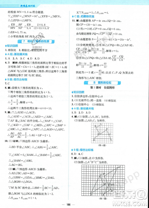 安徽教育出版社2023年秋新编基础训练九年级数学上册北师大版答案