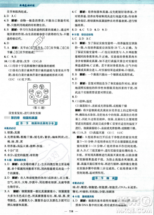 安徽教育出版社2023年秋新编基础训练八年级生物学上册人教版答案