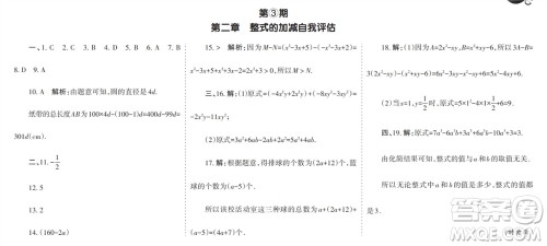 学习方法报2023-2024学年七年级数学上册人教广东版①-③期小报参考答案