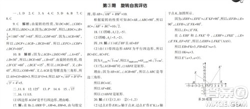 学习方法报2023-2024学年九年级数学上册人教广东版①-③期小报参考答案