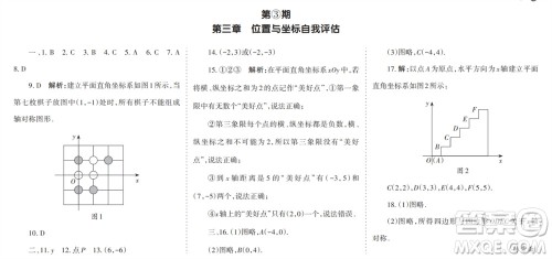 学习方法报2023-2024学年八年级数学上册北师大广东版①-③期小报参考答案