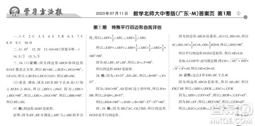 学习方法报2023-2024学年九年级数学上册北师大广东版①-③期小报参考答案 学习方法报2023-2024学年九年级数学上册北师大广东版①-③期小报参考答案