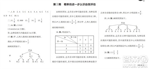 学习方法报2023-2024学年九年级数学上册北师大广东版①-③期小报参考答案 学习方法报2023-2024学年九年级数学上册北师大广东版①-③期小报参考答案