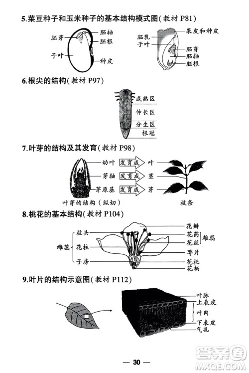 吉林教育出版社2023年秋状元成才路创优作业七年级生物上册人教版答案 吉林教育出版社2023年秋状元成才路创优作业七年级生物上册人教版答案