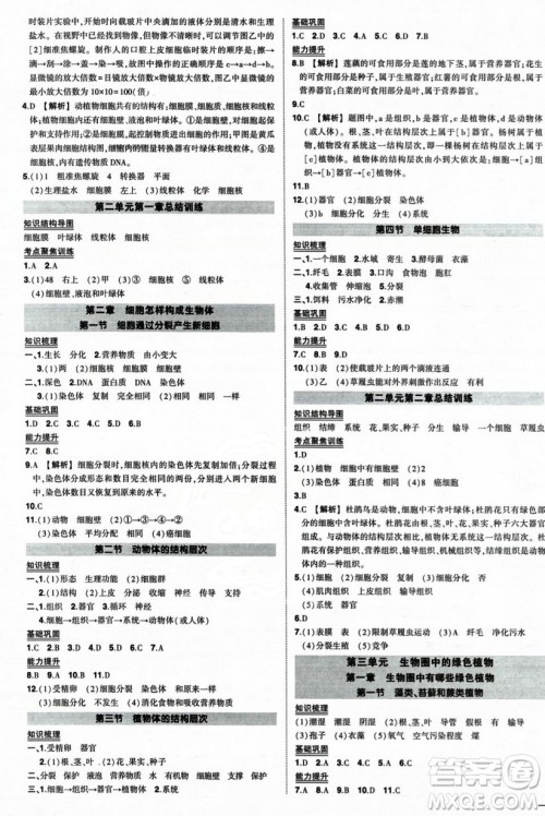 吉林教育出版社2023年秋状元成才路创优作业七年级生物上册人教版答案 吉林教育出版社2023年秋状元成才路创优作业七年级生物上册人教版答案