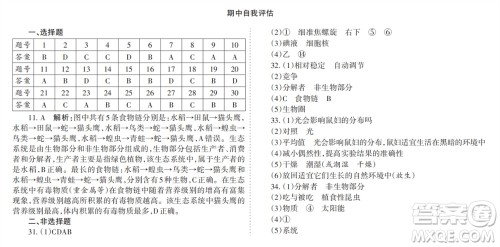 学习方法报2023-2024学年七年级生物上册人教广东版①-③期小报参考答案 学习方法报2023-2024学年七年级生物上册人教广东版①-③期小报参考答案