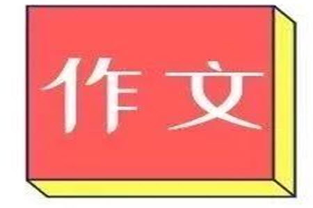 养鱼之前先养水材料作文800字 关于养鱼之前先养水的材料作文800字