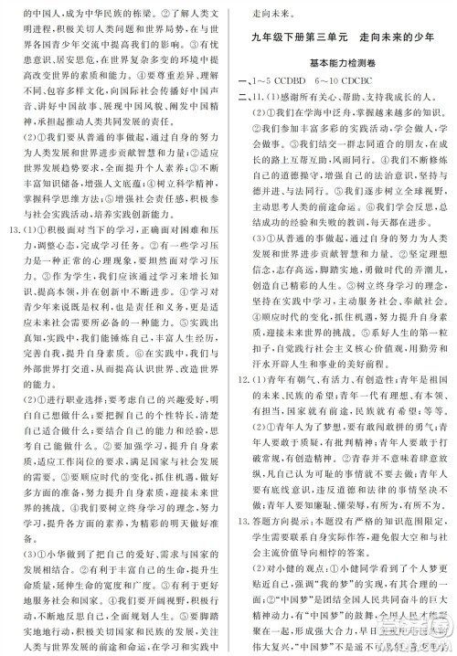 山东人民出版社2023年秋同步练习册分层检测卷九年级道德与法治全册人教版参考答案