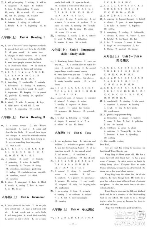 2023年秋时代学习报自主学习与探究八年级英语上册第3期参考答案