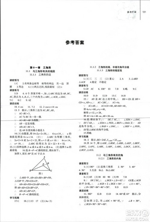 大象出版社2023年秋初中同步练习册八年级数学上册人教版山东专版答案