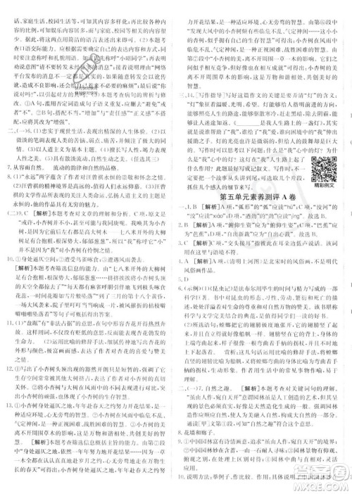 新疆青少年出版社2024年秋海淀单元测试AB卷八年级语文上册人教版答案 新疆青少年出版社2024年秋海淀单元测试AB卷八年级语文上册人教版答案