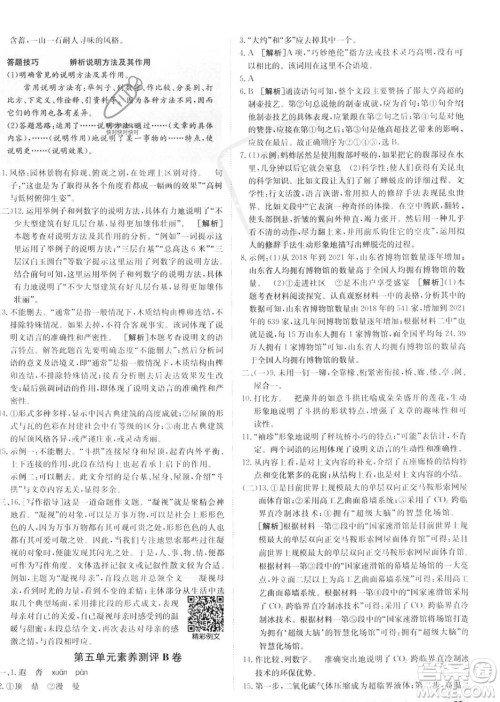 新疆青少年出版社2024年秋海淀单元测试AB卷八年级语文上册人教版答案 新疆青少年出版社2024年秋海淀单元测试AB卷八年级语文上册人教版答案