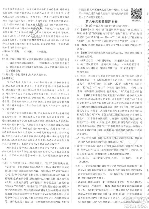 新疆青少年出版社2024年秋海淀单元测试AB卷八年级语文上册人教版答案 新疆青少年出版社2024年秋海淀单元测试AB卷八年级语文上册人教版答案