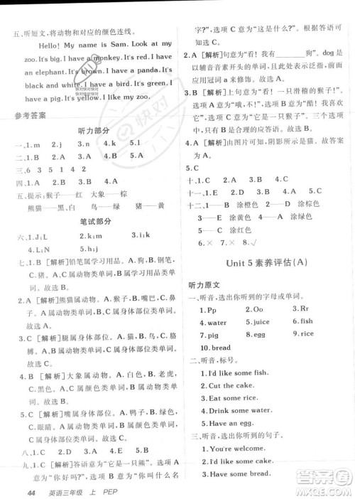 新疆青少年出版社2023年秋海淀单元测试AB卷三年级英语上册人教PEP版答案