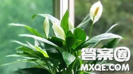 时间的韵味主题作文800字 关于时间的韵味的主题作文800字 时间的韵味主题作文800字 关于时间的韵味的主题作文800字