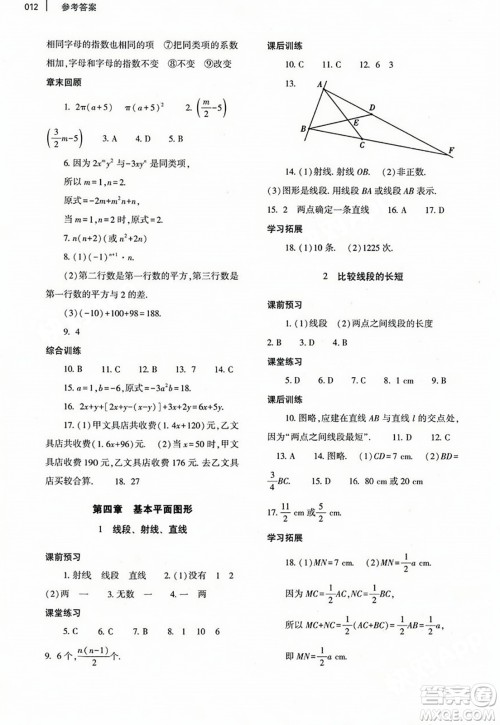 大象出版社2023年秋基础训练七年级数学上册北师大版答案