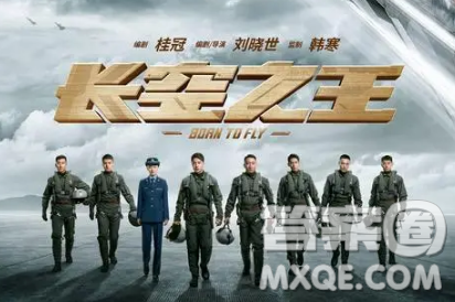 长空之王电影观后感600字 关于长空之王的电影观后感600字