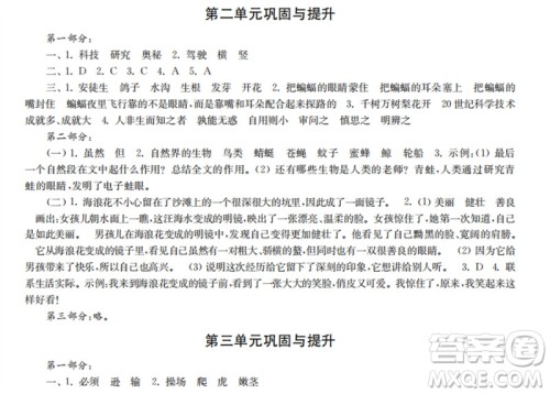 时代学习报2023-2024学年度第一学期四年级语文巩固与提升参考答案 时代学习报2023-2024学年度第一学期四年级语文巩固与提升参考答案