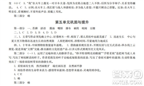 时代学习报2023-2024学年度第一学期六年级语文巩固与提升参考答案 时代学习报2023-2024学年度第一学期六年级语文巩固与提升参考答案