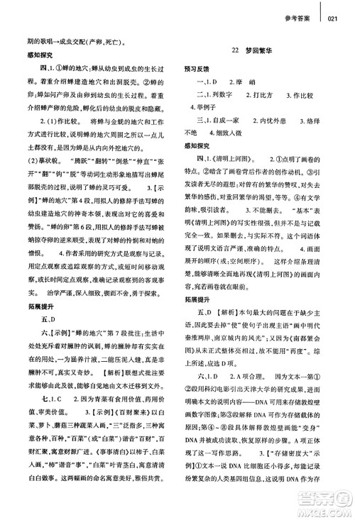 大象出版社2023年秋基础训练八年级语文上册人教版答案 大象出版社2023年秋基础训练八年级语文上册人教版答案
