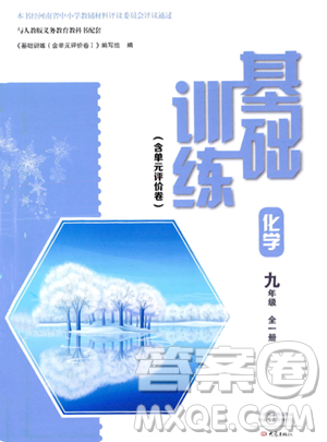 大象出版社2023年秋基础训练九年级化学全一册人教版答案 大象出版社2023年秋基础训练九年级化学全一册人教版答案