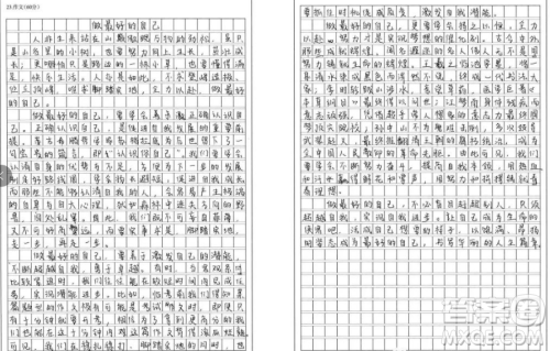 如果你当不成山巅的一棵劲松材料作文800字