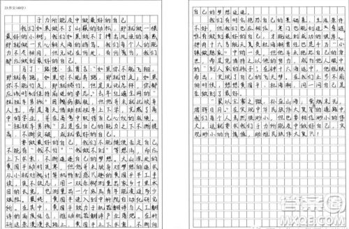 如果你当不成山巅的一棵劲松材料作文800字