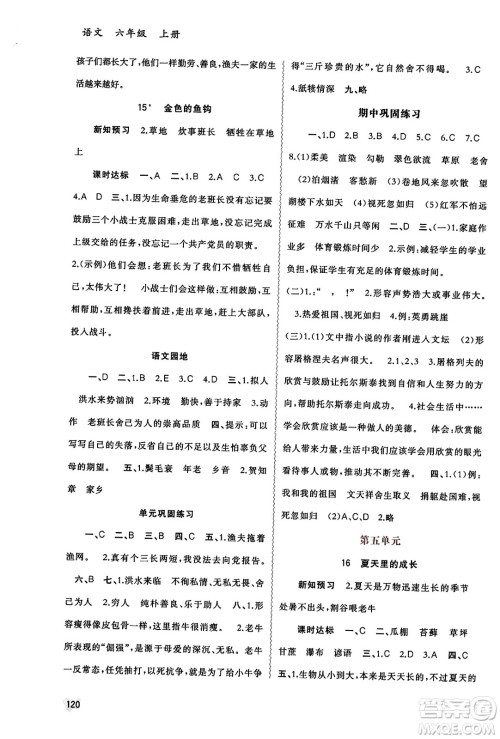 广西教育出版社2023年秋新课程学习与测评同步学习六年级语文上册通用版答案