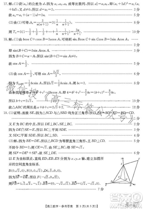 2024届广东金太阳9月联考2434C高三数学试卷答案