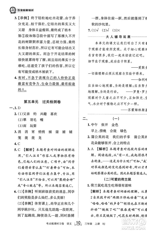 江西人民出版社2023年秋王朝霞考点梳理时习卷三年级语文上册人教版答案