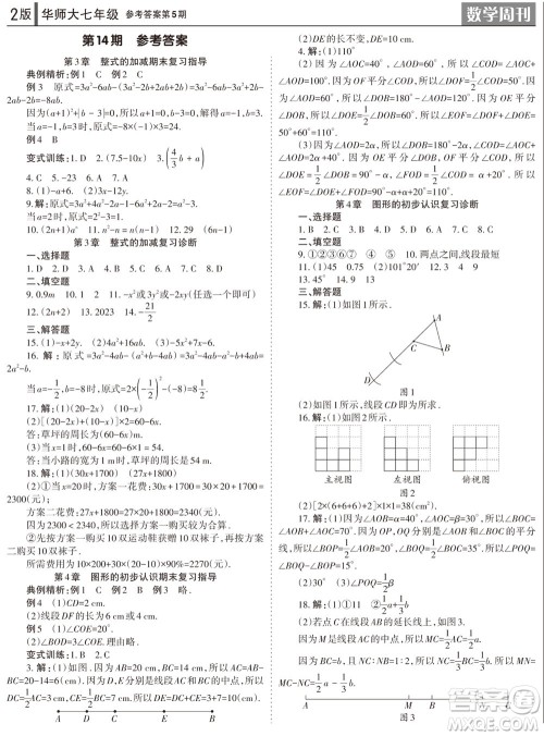 2023年秋学习方法报数学周刊七年级上册华师大版第5期参考答案